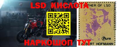 apvp Гудермес
