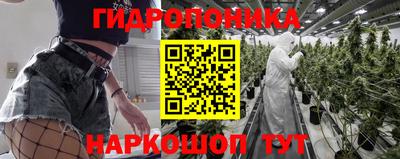 шишки Гулькевичи