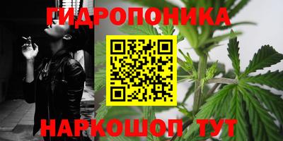 PSILOCYBIN Гуково