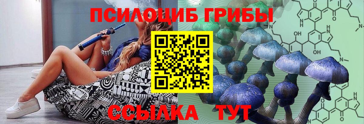 Галлюциногенные грибы Psilocybe  где купить наркоту  Ноябрьск  Вход с VPN 