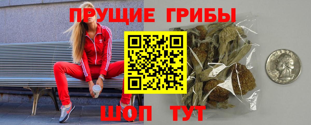 Псилоцибиновые грибы Psilocybe Ноябрьск